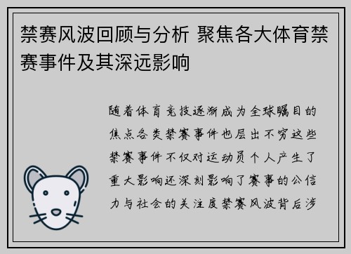 禁赛风波回顾与分析 聚焦各大体育禁赛事件及其深远影响